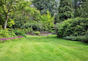 Optimiser l'expérience du jardin à Le Frestoy-Vaux