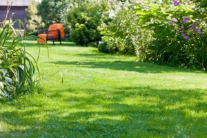 travaux jardin et paysage Le Frestoy-Vaux